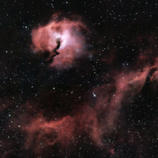 The Seagull Nebula