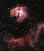 Thumbnail for The Seagull Nebula